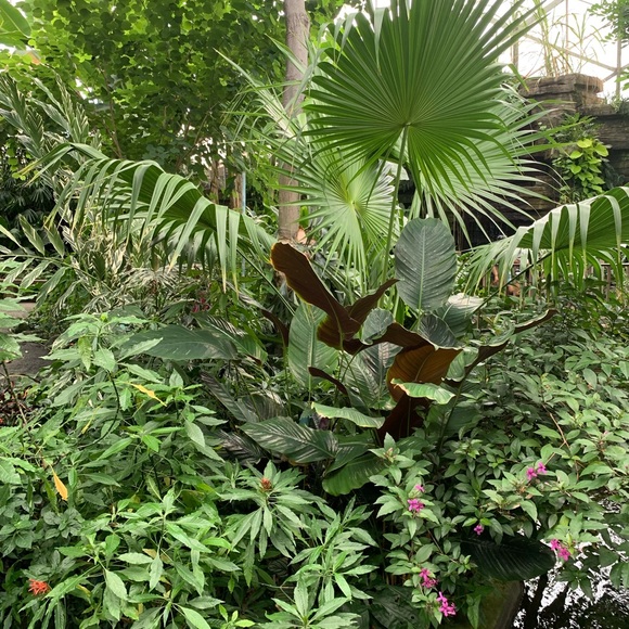 Meet your Posher, Barbara - Picture 1 of 1